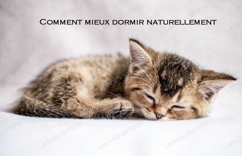 ChatonDormantTextePourEnvoiMail